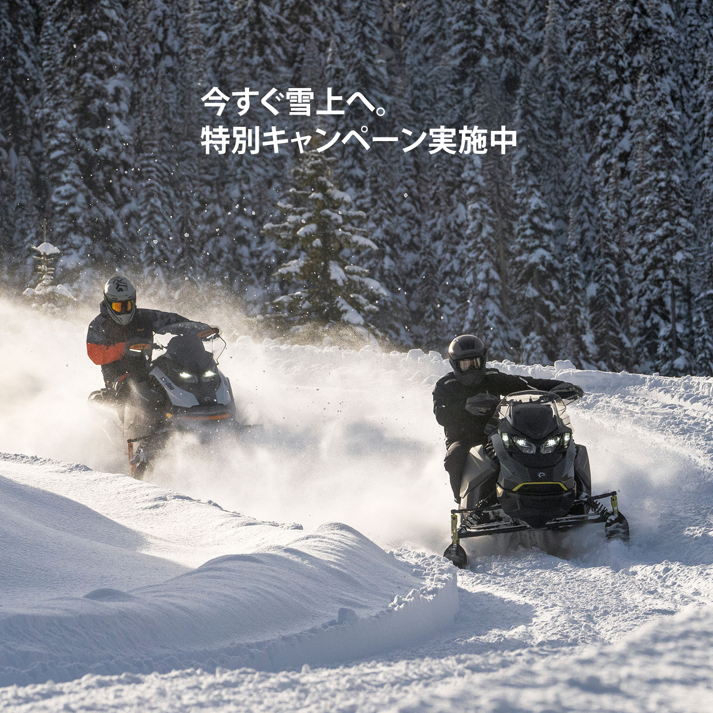 Ski-Doo
