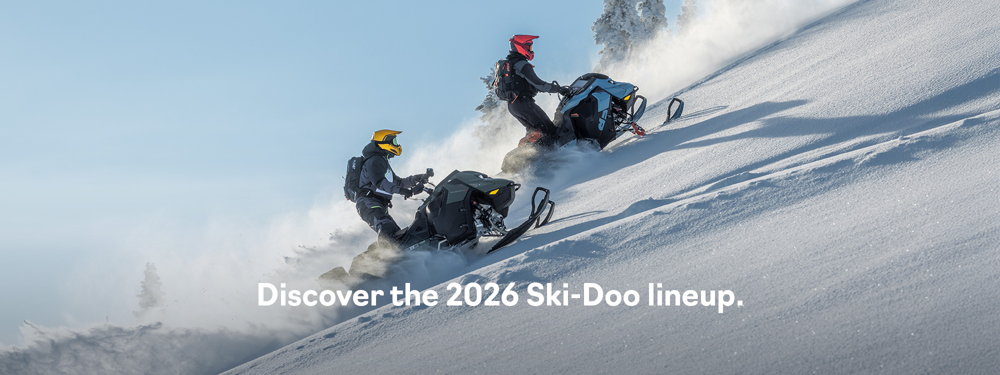 banner skidoo home