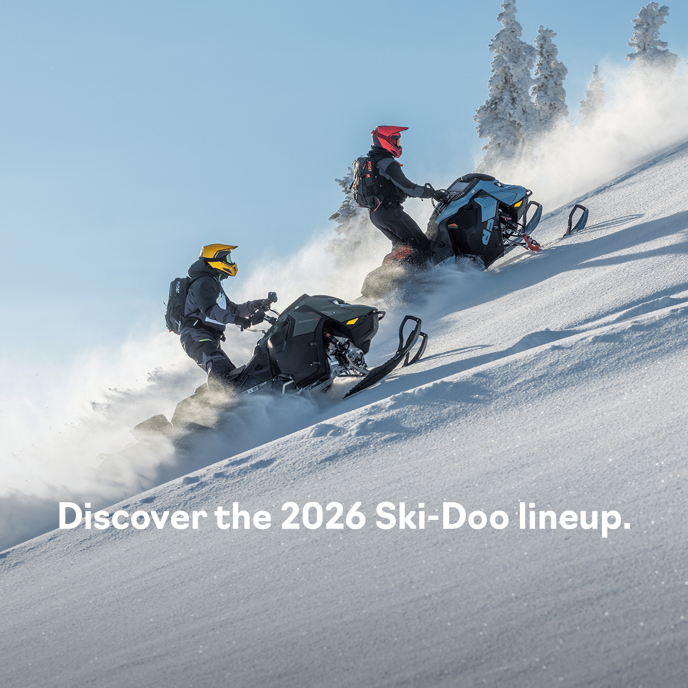 banner skidoo home