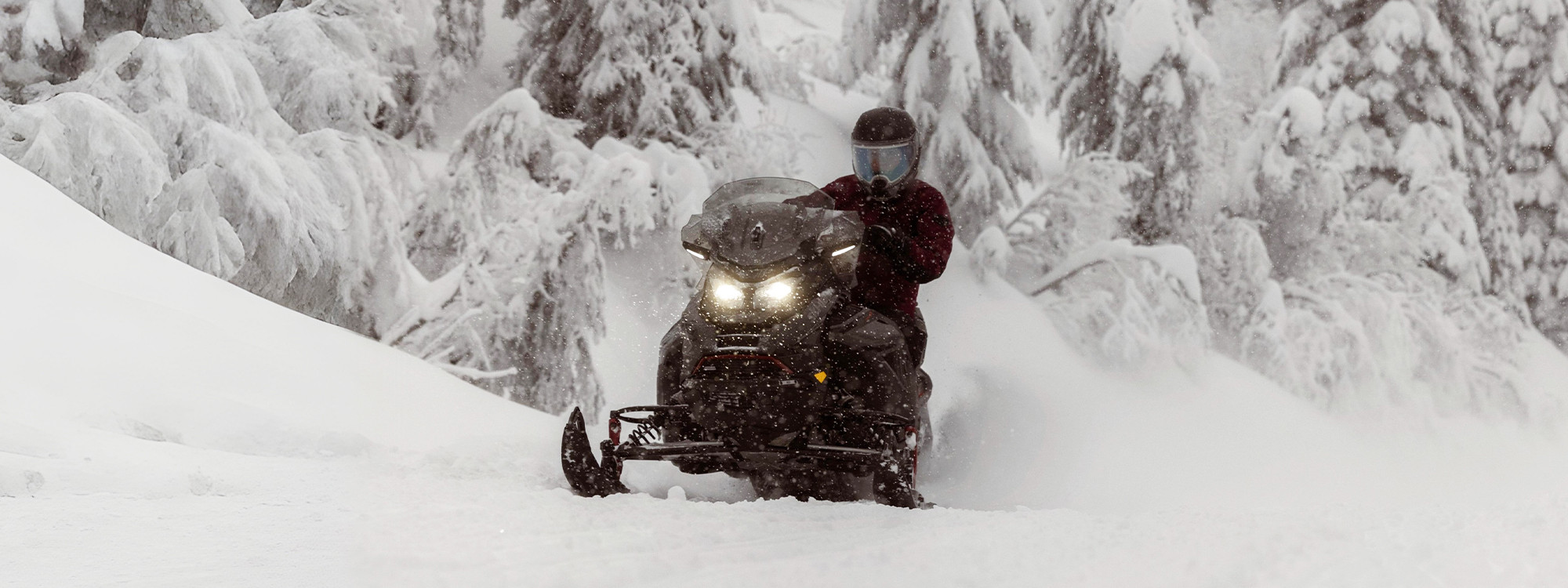 Renegade Adrenaline 900