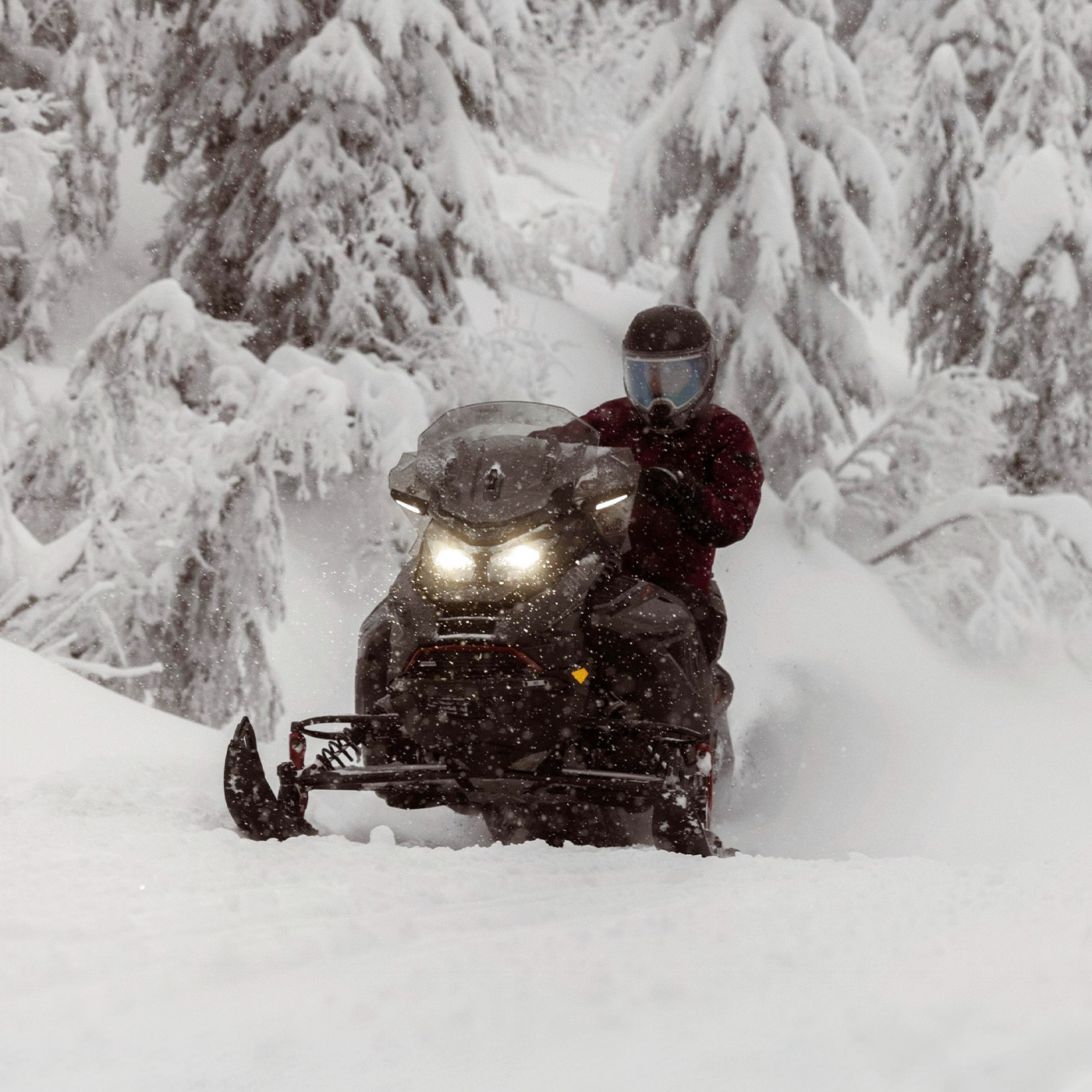 Renegade Adrenaline 900