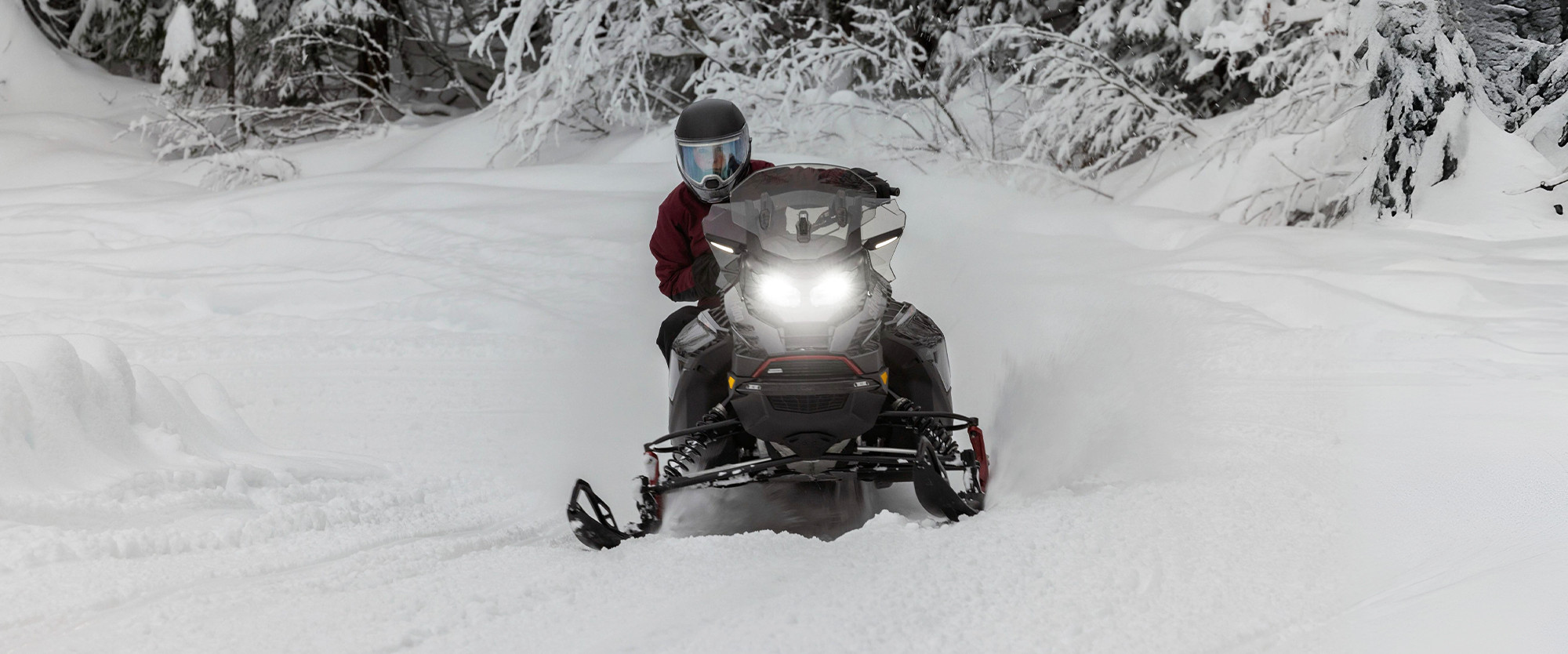 Renegade Adrenaline 900