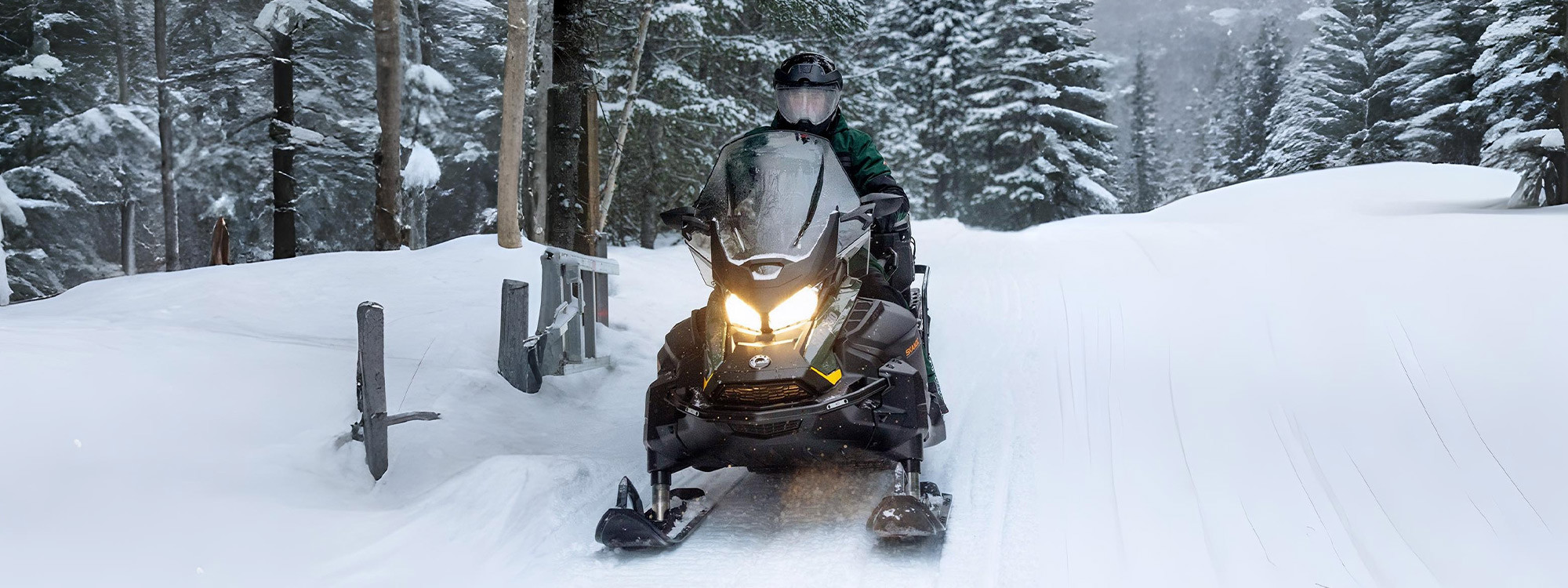 Skandic LE 24<br>900 ACE 154