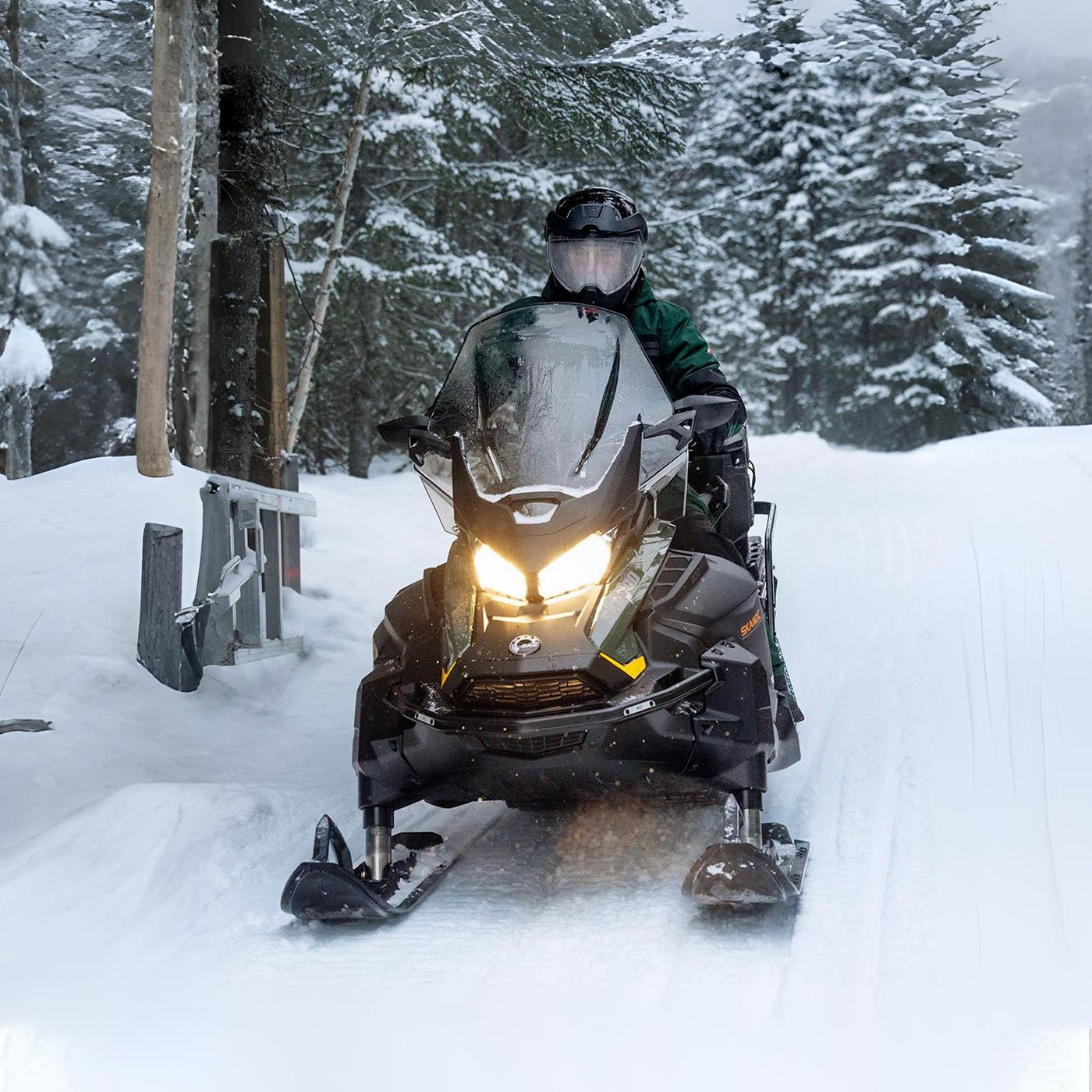 Skandic LE 24<br>900 ACE 154