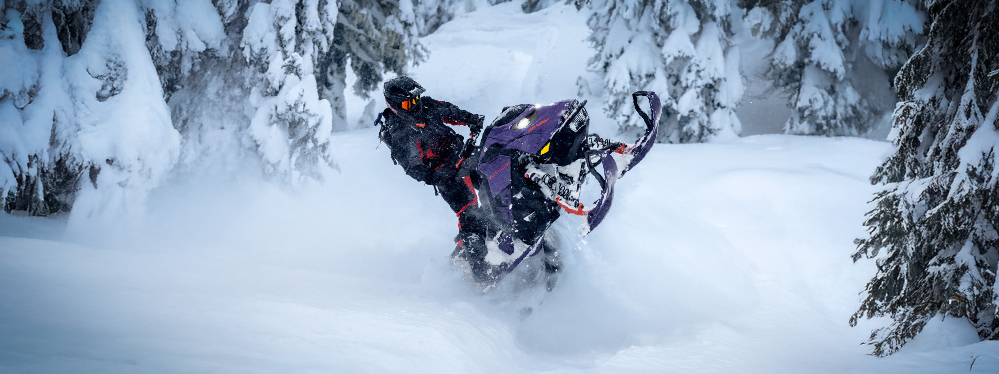 Freeride 154 850 E-TEC