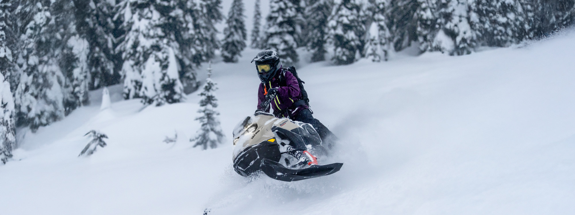 Summit Adrenaline 146 <br>850 E-TEC