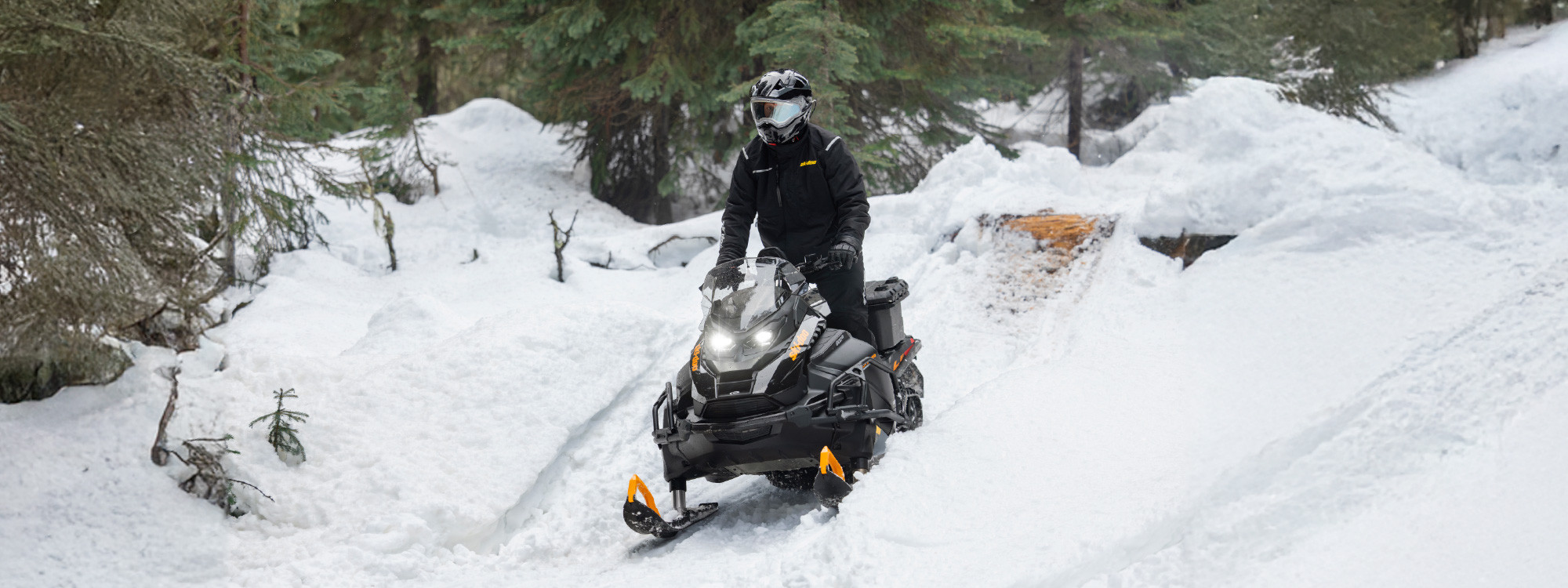Tundra LE 600 EFI